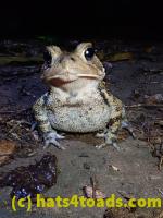 /home//u458753944/public_html/sourcegallery////////////////////////////McKaig Nature Center/2020-09-27/P9270706.JPG